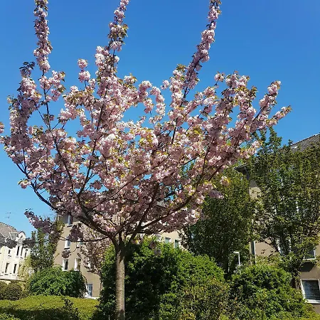 Apartment Gaestehaus Muelheim Muelheim an der Ruhr