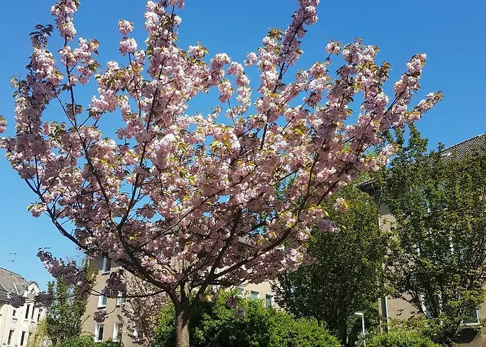 Lägenhet Heimathafen Mülheim an der Ruhr